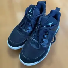 NIKE JORDAN MAX-200 ナイキ ジョーダン マックス200のサムネイル