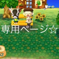 Mayumi Ishiyama様専用ページ