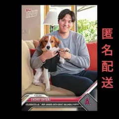 PSA10 大谷翔平 デコピン 2枚セット 連番 2026年最新】大谷翔平 カード デコピンの人気アイテム - メルカリ
