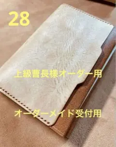 Item thumbnail for item c71c732e-e14d-4a85-be1e-4abefbe2e68c