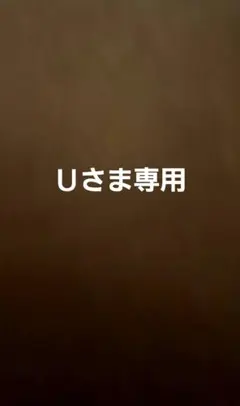 Ｕさま専用＊トートバッグ用生地　２種＊コーヒー色&カーキ色＊綿