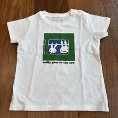 Item thumbnail for item 2fa3d5a7-39a1-4b6b-abe5-0d3cea0e24f8