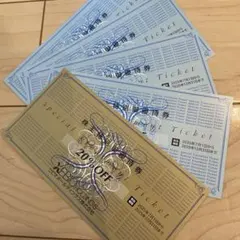 ゼビオホールディングス 特別優待券 5枚セット