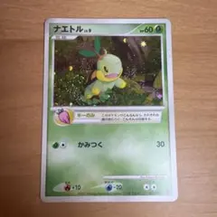 ナエトル P 第5期プレイヤーズけいけんち2000~2900EXPプレゼント