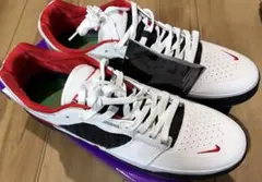 新品未使用　NIKE SBシューズ