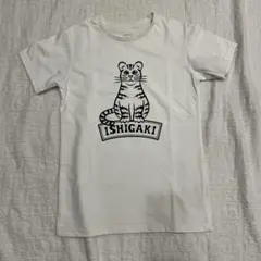 2025年最新】イリオモテヤマネコ ノースフェイスの人気アイテム - メルカリ