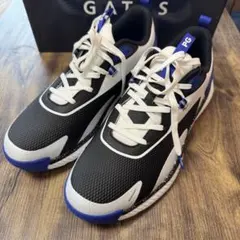 2026年最新】PEARLY GATES ゴルフ シューズ(男性用)の人気アイテム