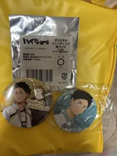 ハイキュー!! 缶バッジ 影山飛雄 日向翔陽 2個セット