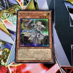 教導の聖女エクレシア シークレット シク