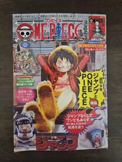 ONE PIECE magazine