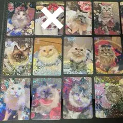 2026年最新】猫カフェmocha トレカの人気アイテム - メルカリ