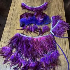 ベリーダンス 紫羽根衣装4点セット