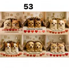 新柄‼️犬柄【53】パネル生地