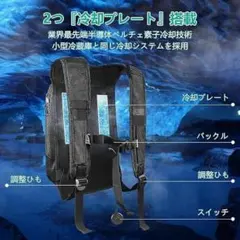 冷却ベスト ペルチェ クールベスト ベスト 空調ベスト バックパック型 -25℃