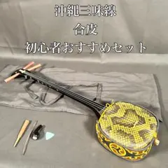 沖縄 三線 本体 入門セット ケース 本 CD 人工皮 楽器 - メルカリ