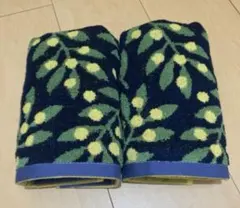 Item thumbnail for item 16091f00-d1aa-4b33-81f1-fa987d3bfa9f