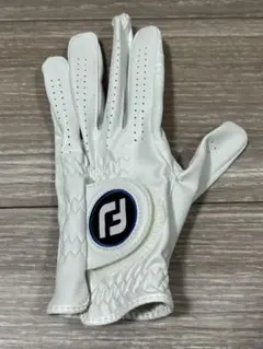 Item thumbnail for item 07f4d96c-81ad-46ed-9283-313e326ebe4c