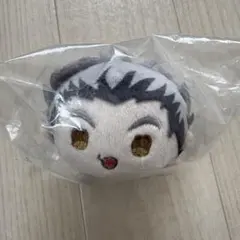 ハイキュー‼︎ 木兎光太郎 もちマス wa