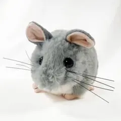 チンチラ　ぬいぐるみ