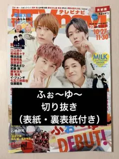 TVnavi ふぉ〜ゆ〜 切り抜き