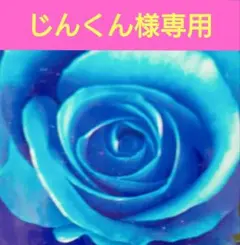 じんくん様専用出品となります
