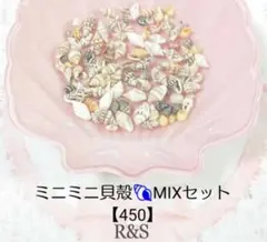 【450】ミニミニ貝殻♥MIXセット　約50個