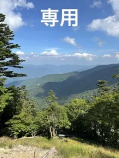 Item thumbnail for item 9d0505b0-5dff-4878-a922-f4530d6b2b58