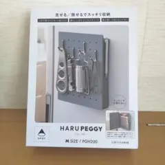 Item thumbnail for item 016da728-ff59-400c-b21e-d668b6f8a884