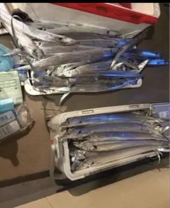 Item thumbnail for item 8324dbae-d68a-4fe1-ab30-b2592260b171