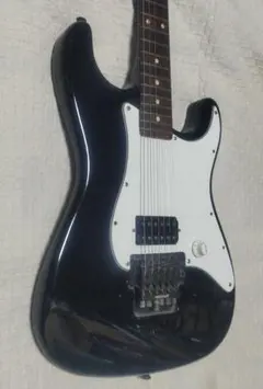 フルセット】FERNANDES FRシリーズ エレキギター パープル - メルカリ