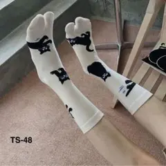 Item thumbnail for item 011e6f49-b97f-4c59-a2db-e3e52f67da72