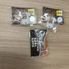 요미우리 자이언츠 메지루시 매력 기시다 이즈미구치 오시로