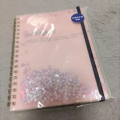 Item thumbnail for item 790331fa-4855-46c9-9486-bba48785a2fe