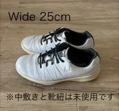 FootJoy ゴルフシューズ 25cmのサムネイル