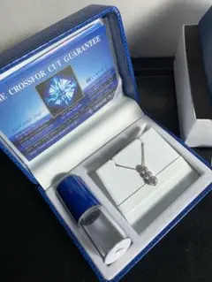 Item thumbnail for item a1ebaaa1-f079-42e8-adb1-d5be01570142