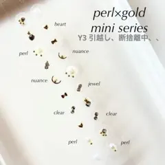 【1点セラミック変更】Y3 引越し、断捨離中、、様　耳ツボジュエリー　11点