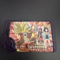 ポケモンフレンダ　ウガツホムラ トレーディングカード 5つ星