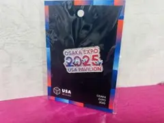 2025年最新】大阪・関西万博ピンバッジの人気アイテム - メルカリ