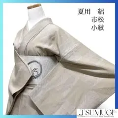 付け下げ　夏用　絽　能面　玉手箱　大喜利　流線　グレー　着物　043a d 付け下げ 夏用 絽 能面 玉手箱 大喜利 流線 グレー 着物 043a d - メルカリ