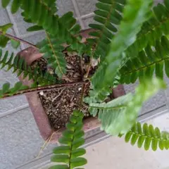 yu kah様 リクエスト 4点 まとめ商品