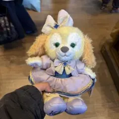 お顔厳選】新作 上海ディズニー 春日限定シリーズ クッキーアン