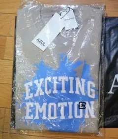 Item thumbnail for item 54bb8748-9006-46ff-b510-53c3f2d442f7