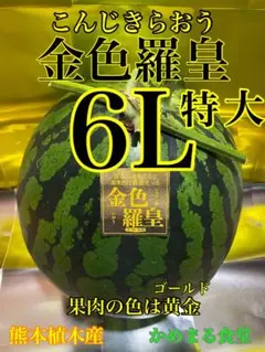 秘密の県民showで紹介された熊本産 金色羅皇特大6L2玉セット！１玉11k以上 秘密の県民showで紹介された熊本産【金色羅皇】秀品6Lサイズ1玉12kg