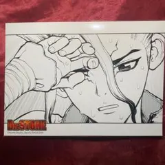 dr.stone 2L版 BIGブロマイド 原画 公式正規品 石神千空 千空C