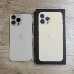 iPhone 13 Pro Max 256GB (カメラ割れあり)