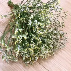 Chachamaru様 リクエスト 2点 まとめ商品