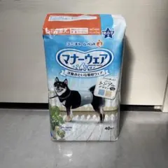 Item thumbnail for item e8cd1d13-0a18-42a9-9104-c9c28f7e3639