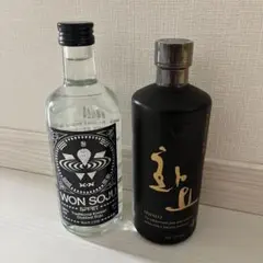 Radikon ラディコン 500ml 2本セット - メルカリ