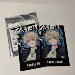 緋八マナ　ヤンキーロード　チェキ2枚
