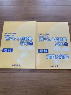 【新品】2022年 四谷大塚 週テスト問題集 5年下 理科